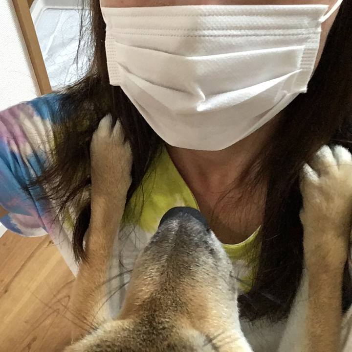 40c105d9 b6a9 4415 abc4 13254778c9e4