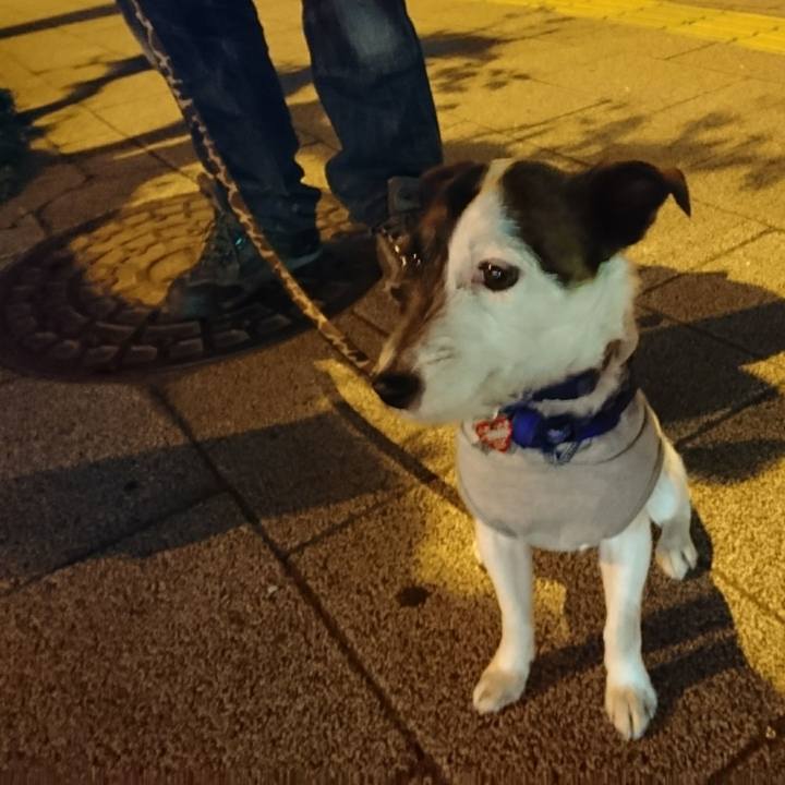 40c15acd 8bcd 4c5d 9da0 e01a89fffe2c