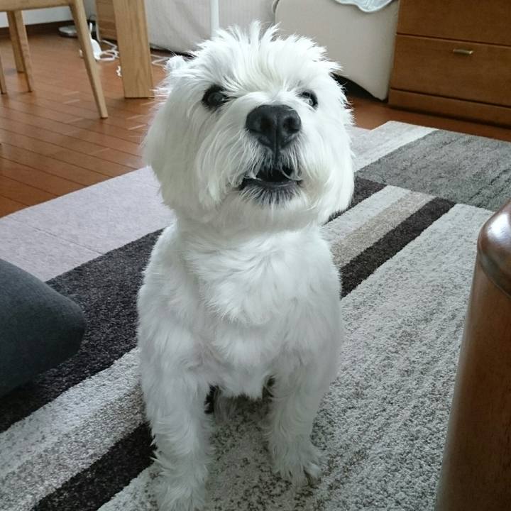 40c15bfc 5d91 4c80 b6a5 366ed67d4c31