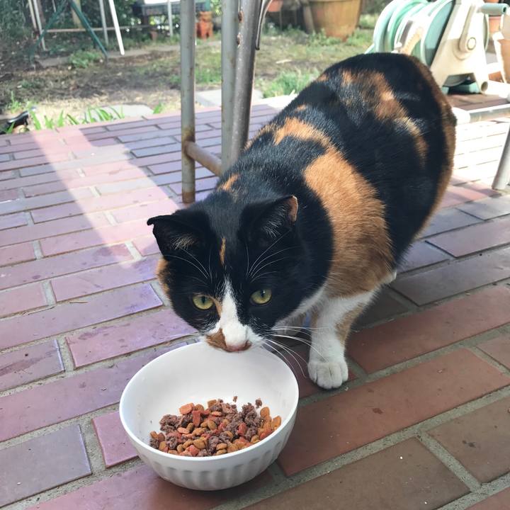 40c1e57c a873 4df8 88a2 6c6ebc463db3