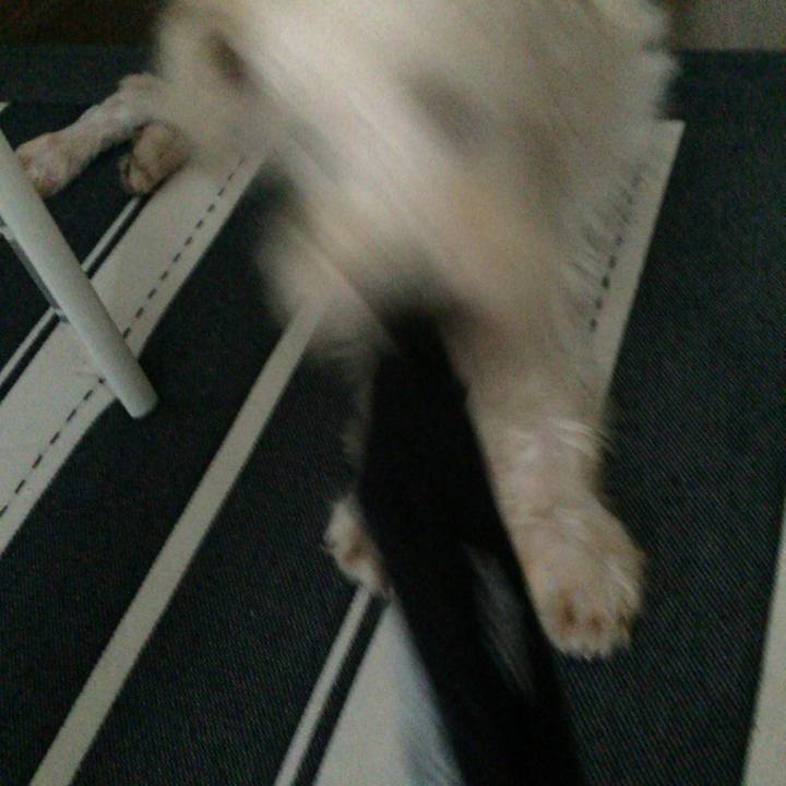 40c21621 3df2 44b5 bd7d ce6157b9cf78