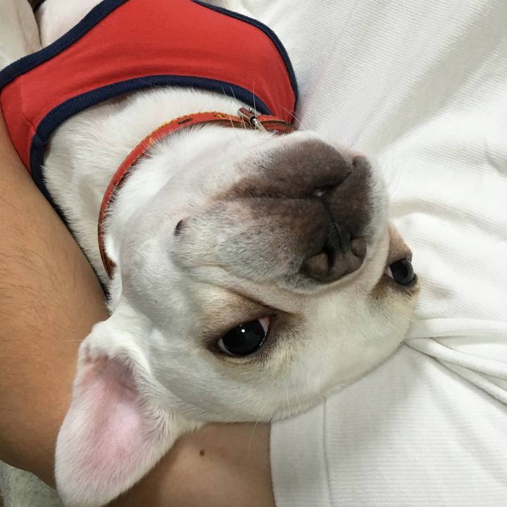 40c22e67 60f4 4e43 95cd 4aef278cdd05