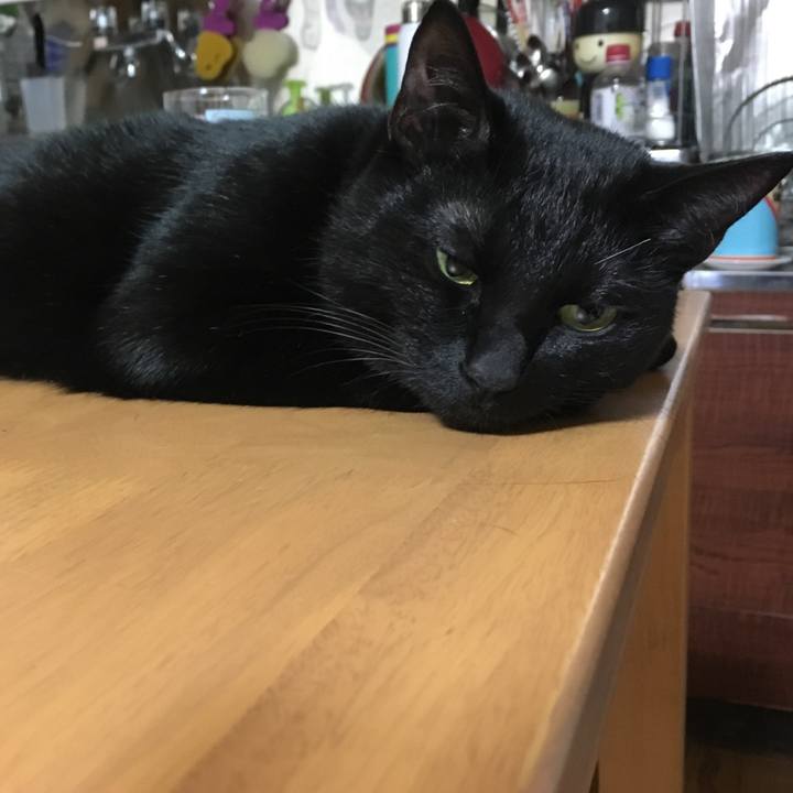 40c266bb 9fd4 4074 b534 bb9f2669a9c6