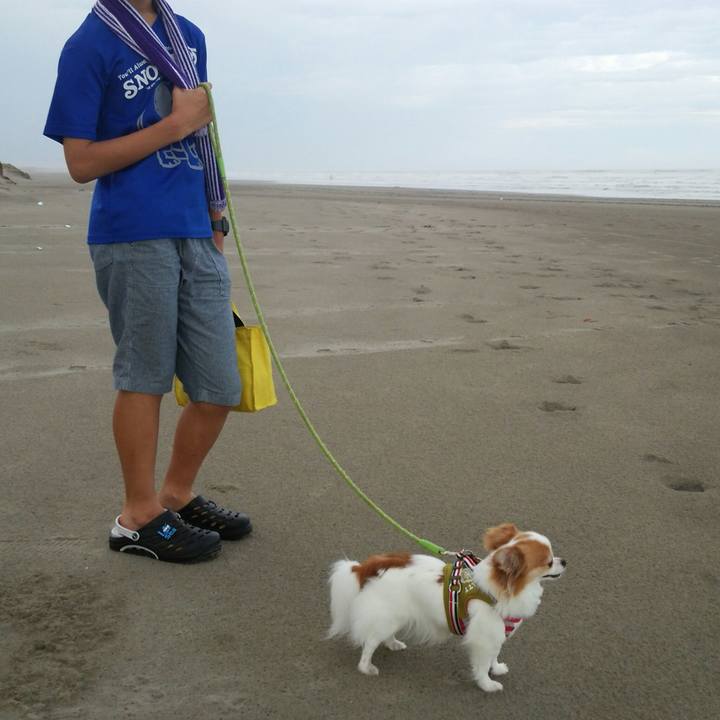 40c2816c 9006 4238 b16f 58ea3f7152d3