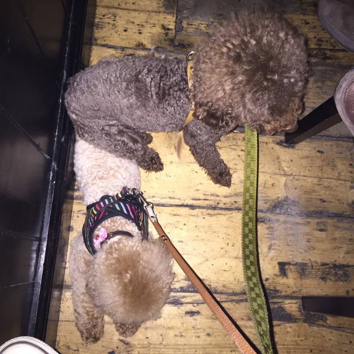 40c2f1b4 79fd 48f8 a958 1a3351efa4fa