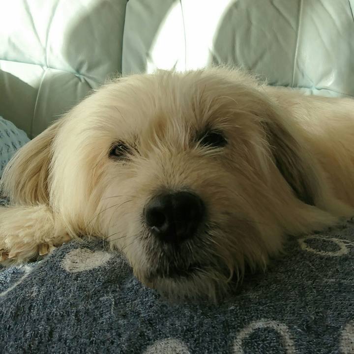 40c3393b f693 4950 9ed9 3ae3fdfd561a