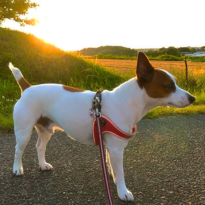 40c3fb45 c7cb 4050 8925 25b27ed179d1