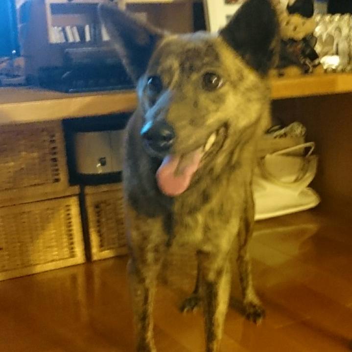 40c474ee 9cc7 4b1f 9b77 b0edefd9b1b2