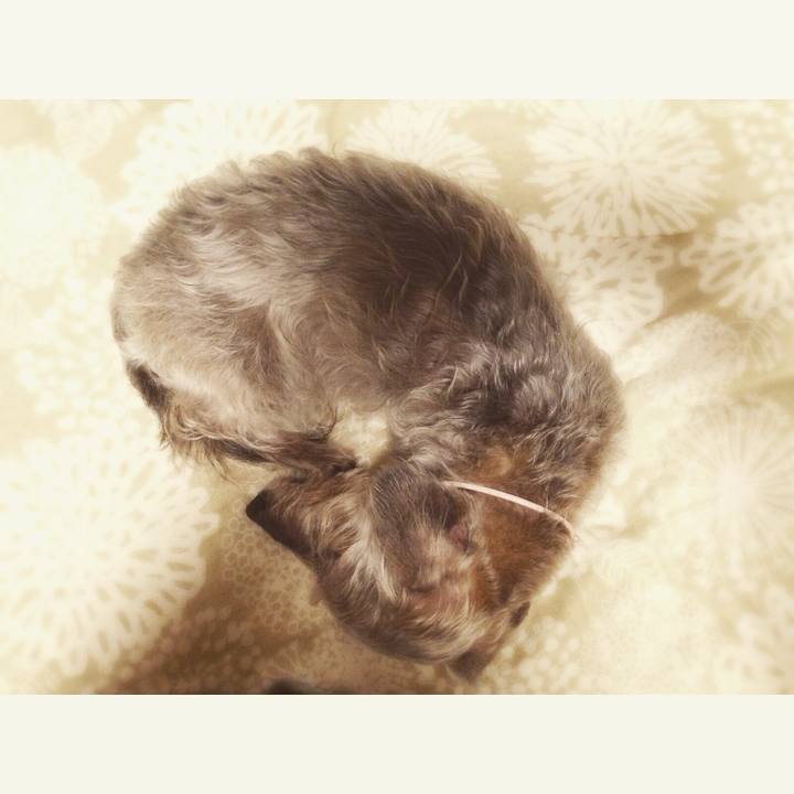 40c50f45 aa0e 4f44 b5ca 7b43046ae1c3