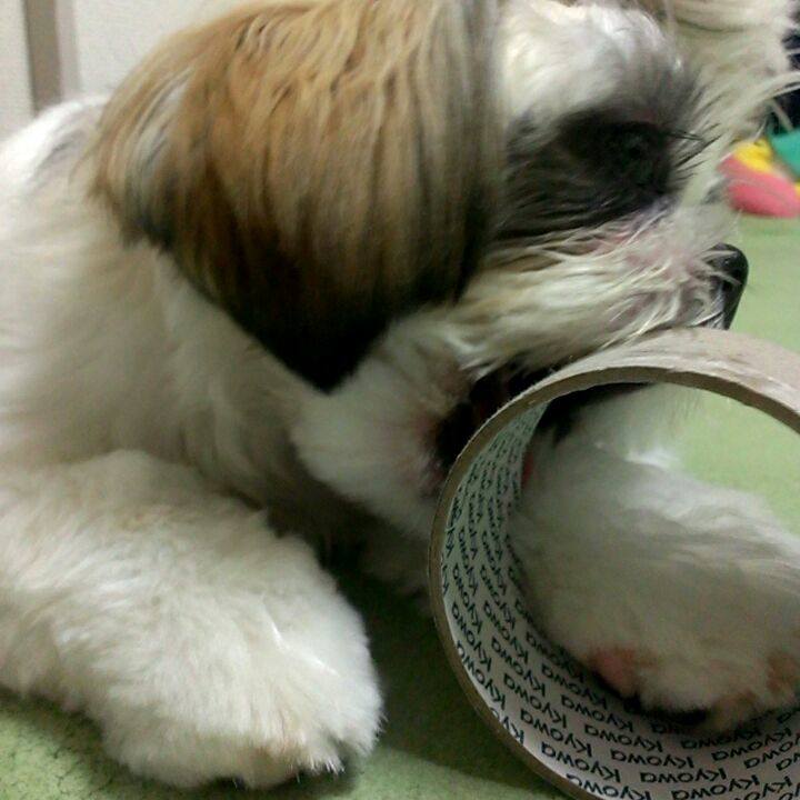 40c69ef8 6b99 4823 a365 a535cf65092b