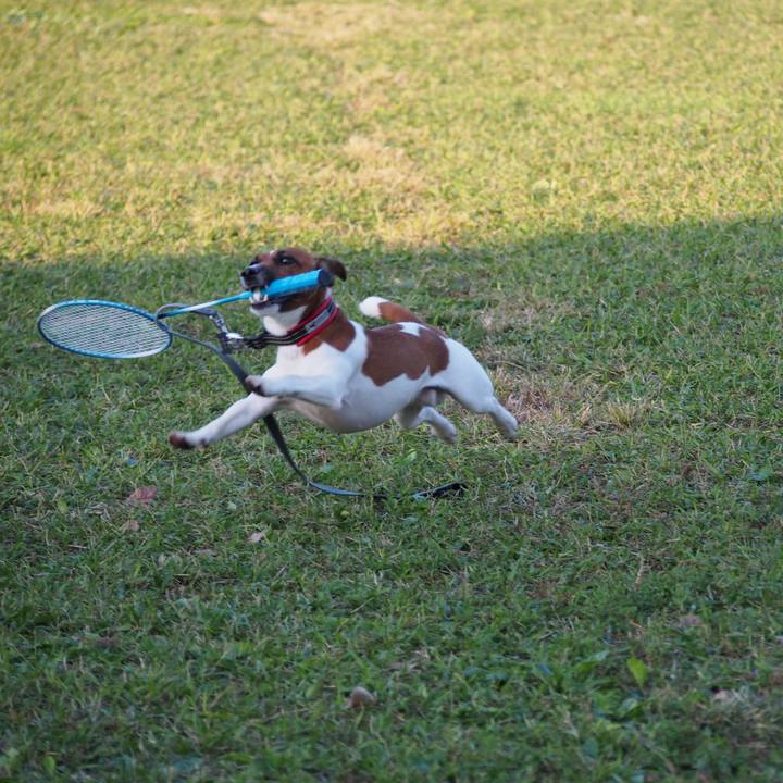 40c6d140 c8b9 4f3e 967f a7081a0d4681