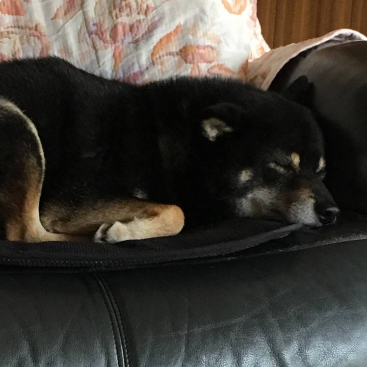 40c6f9b1 9a57 42d4 a09c 53902b5ac91c