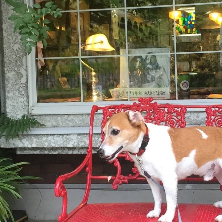 40c70eec 91fd 4a91 83dc c246111892dc