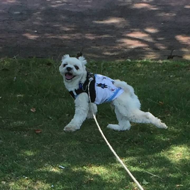 40c764bb d3ff 491e 9932 0d3f46fbb026