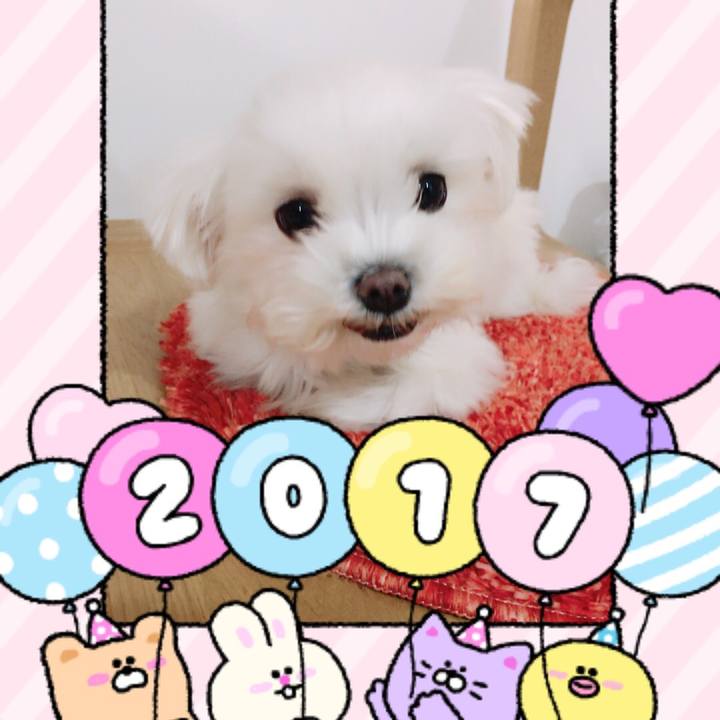 40c7b6ba 2ef3 4ad4 859e e113fe34d0dd