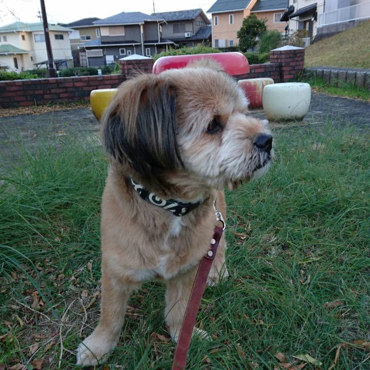 40c7fac6 efdb 44c1 860d ce01b8360db9