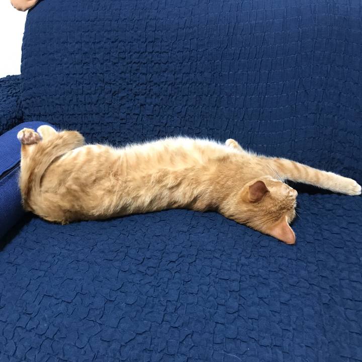 40c8570b d681 41c5 8656 d640af4ed41e