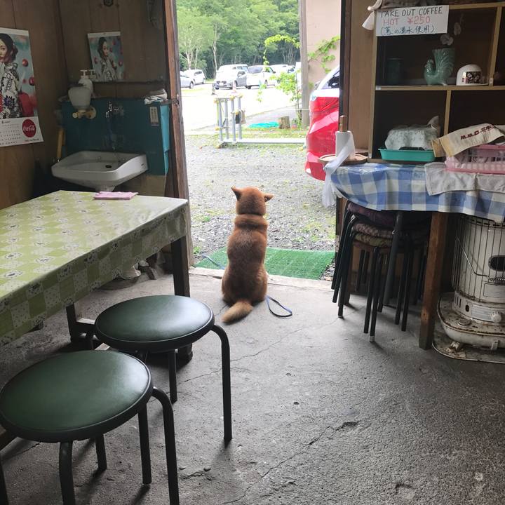 40c8b02f dea9 468b b461 9557b4db4d20