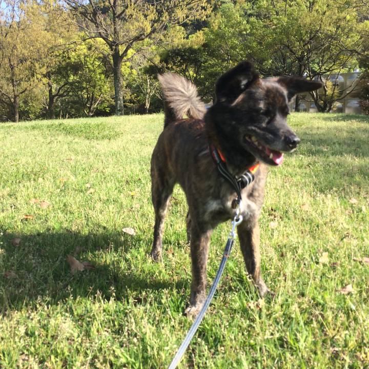 40c9aa9c 57c7 45a3 9ecd aaf0e5f8c621