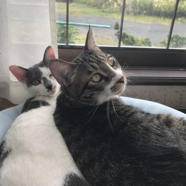 40cb135f 5fc7 46b8 8e2f fb79743ab307