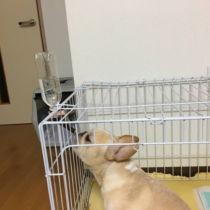 40cc72ab 3d0f 4a2c 87a7 9ba2b2acf345