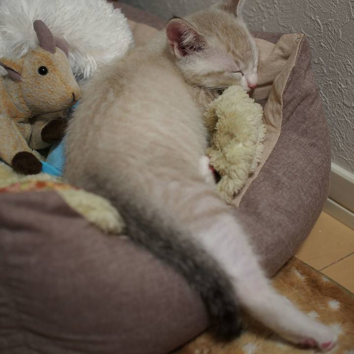 40ccb23e e9dc 4e08 95be aebdab8c5b11