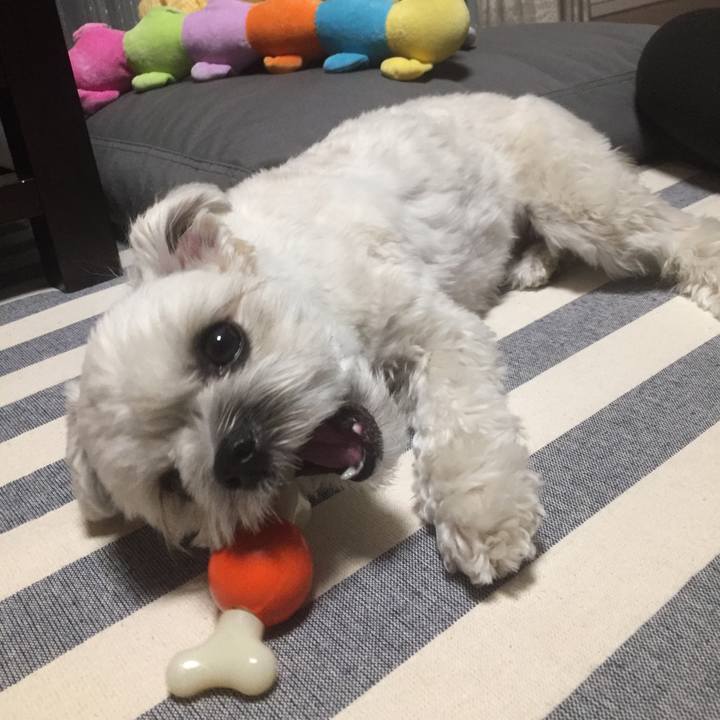 40ccbb40 dce0 4d4f b8e4 04f91d0f98c6