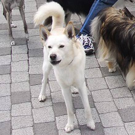 40cd2939 ca91 4b9a 99d9 38e3f6cdbdc4