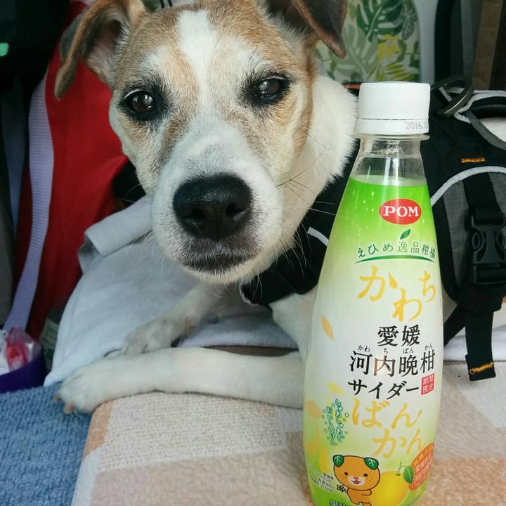 40cd8458 2c3e 46f2 a679 34cc27c11bbb