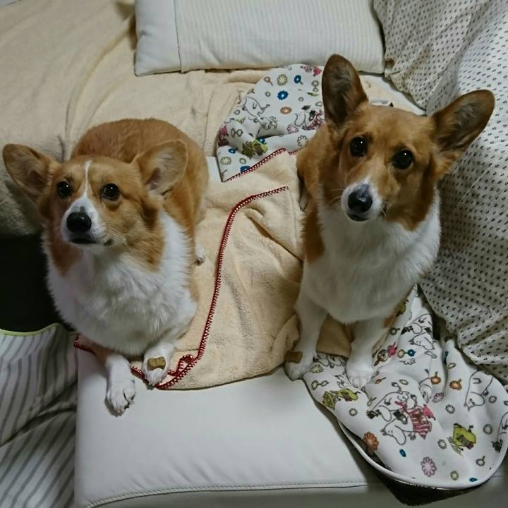 40cd9307 6f60 431c a1df 7d4668460ae1