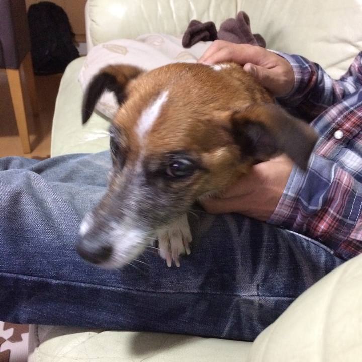 40cda785 660b 4fc2 a726 97c2f6a0098b