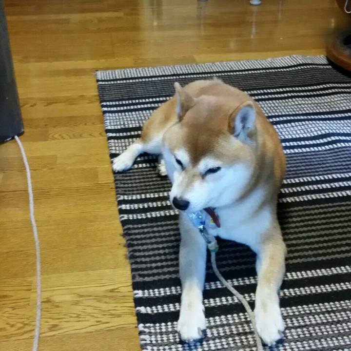 40cdd31a e57d 458f b8be 8bc822240070