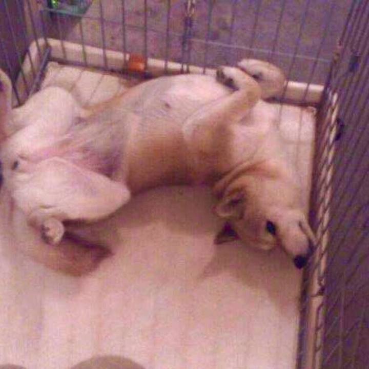 40ce02f5 b0b2 4382 95f0 ff0306a2bcd9