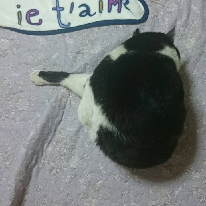 40ce0b94 0e35 4b4d a852 60515101c806