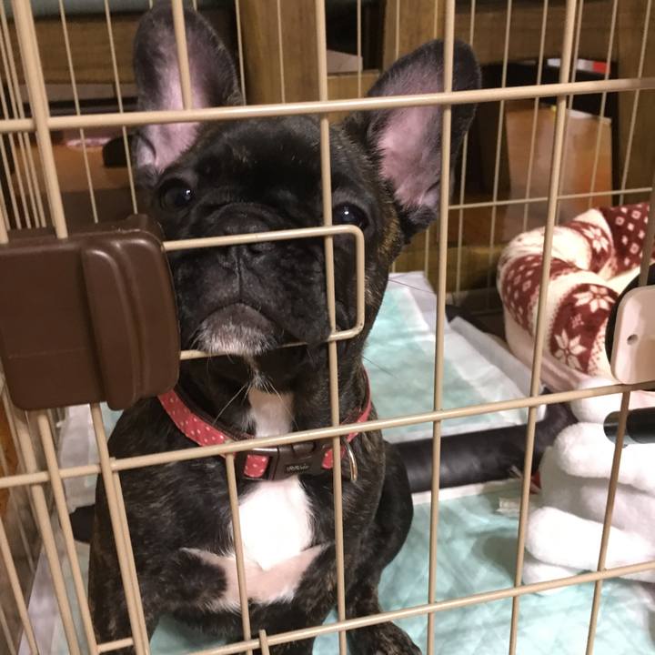 40cefb55 9840 4bc6 9e4c a24691b20d5e