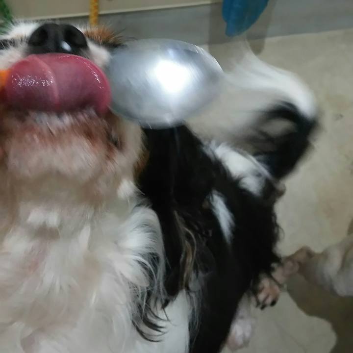 40cf8bd6 52a0 4d94 a630 79fb7323b5dc