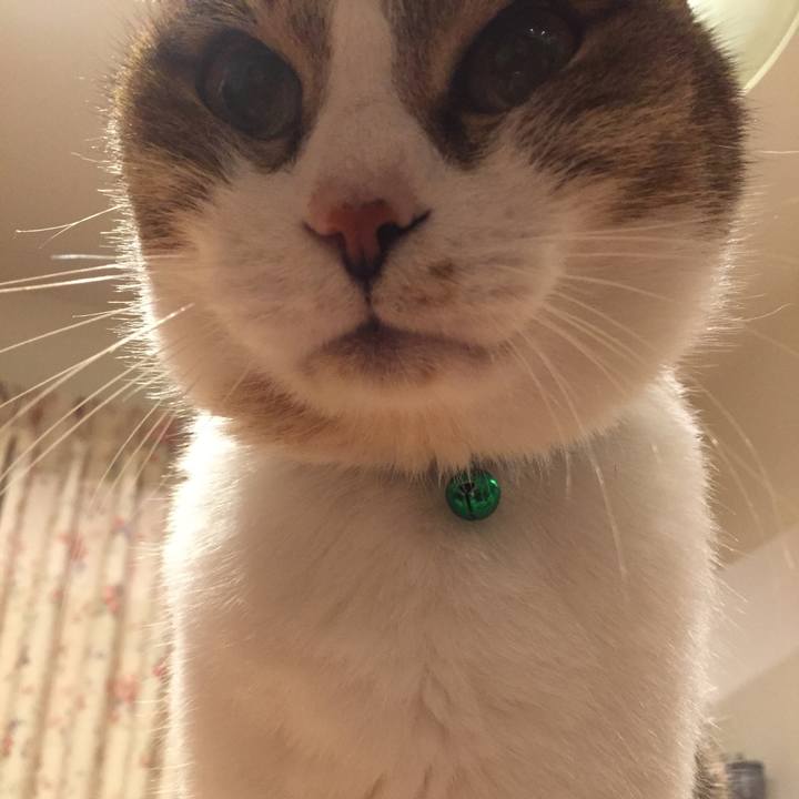 40cfca35 e6ea 4c39 a168 0ba9ac3fe13e