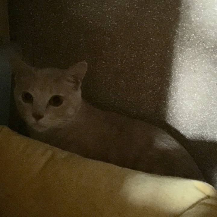 40cfd92b 48f1 4c1b 895e 1e536f6a0032