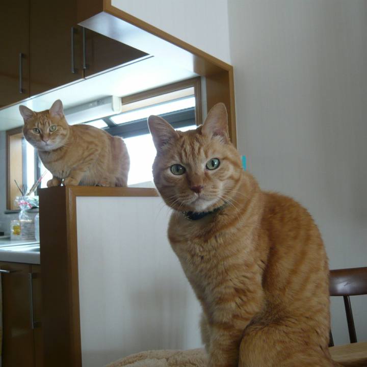 40d01677 ef20 4281 bf49 9ced162f8aed