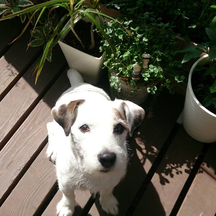 40d0ac98 6781 4eba b4bc 5498b90d33c1