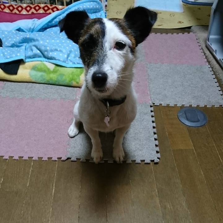 40d0c6f4 70e2 4061 9a7f 3455410dca9d