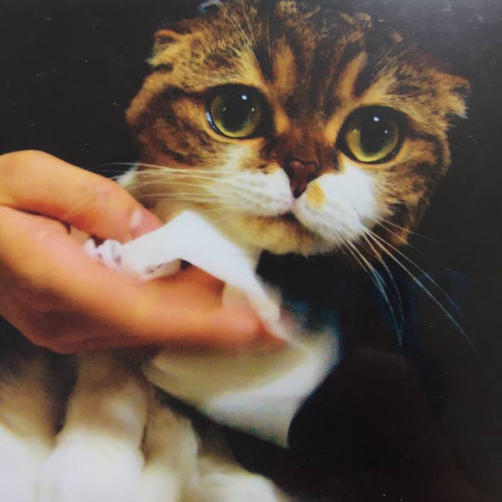 40d122fc c6f8 4027 91f9 3330736052e5