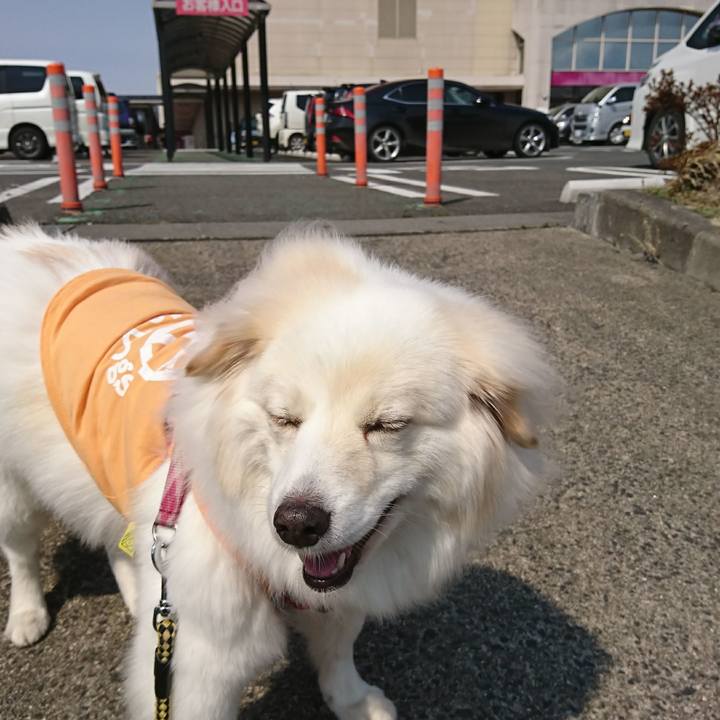 40d12d44 4ab2 41c0 a99f 25c408829af1