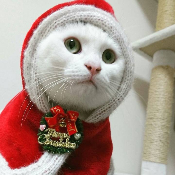 40d21f39 5517 445e 93ac dcdfa608a089