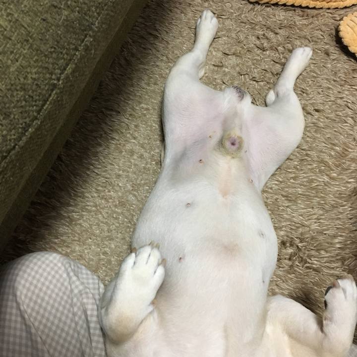 40d232f9 b76f 49dc 8eda a5d9267a461b