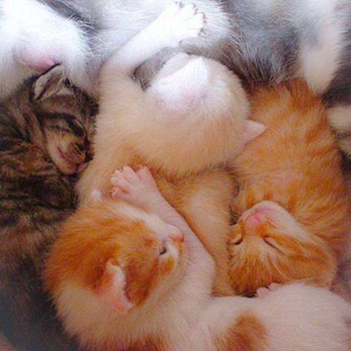 40d2b28a 6740 44fa abdf e25e8f058e9a