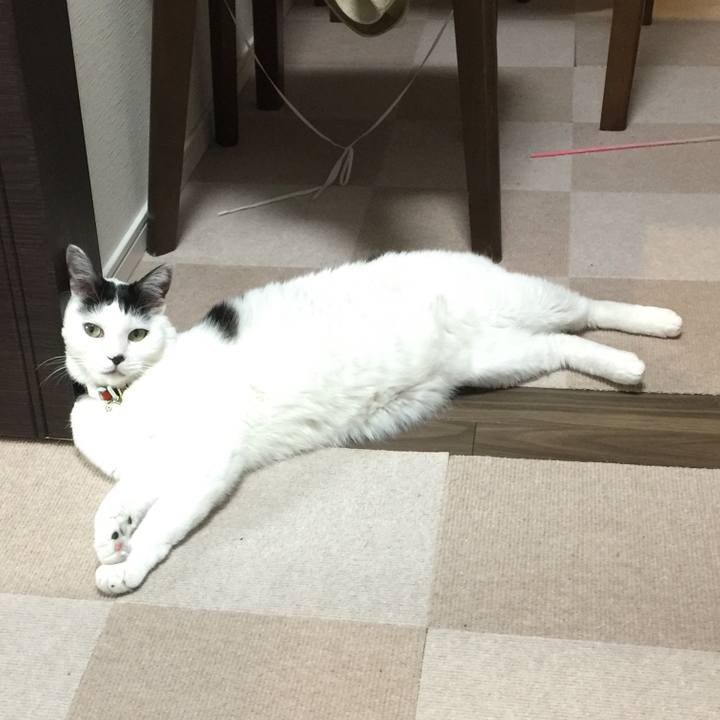 40d32380 1c2a 4422 805c 000044ae11e7