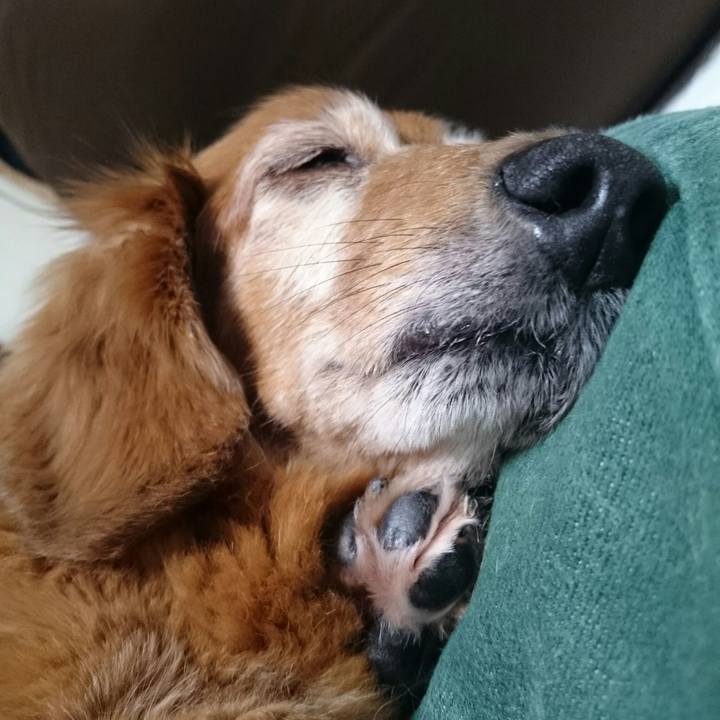 40d39178 12ab 4155 b85d 9489749dd77e