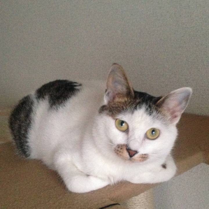 40d41743 ef3d 406d 81a4 a1cc54261df3