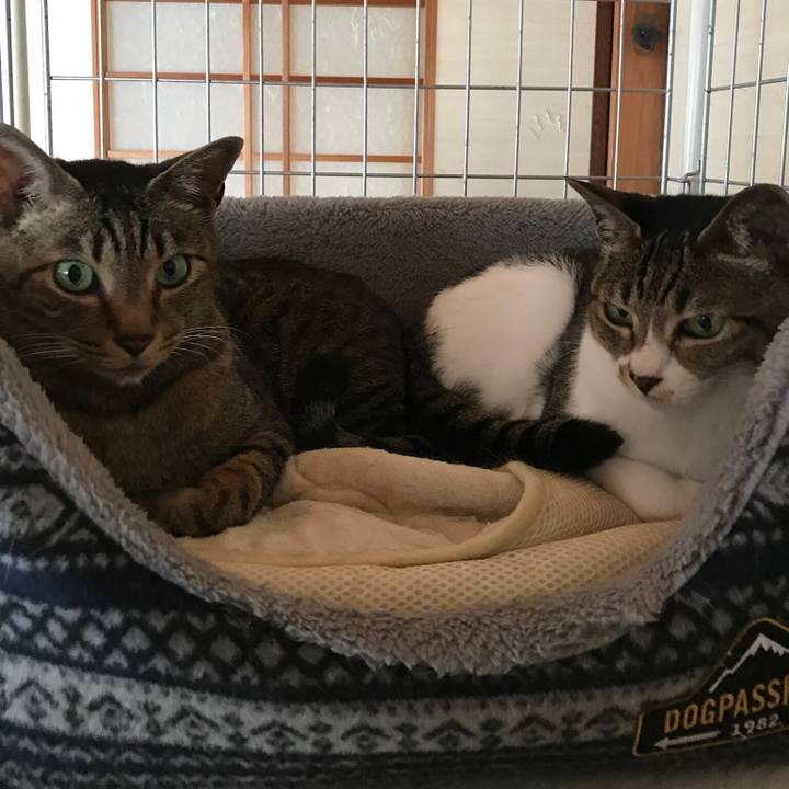 40d46b79 57ab 449f bd52 1036b2890e30